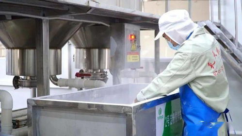 芷江 整合資源賦能，守護舌尖安全，驅動米粉產業升級與科技研發融合